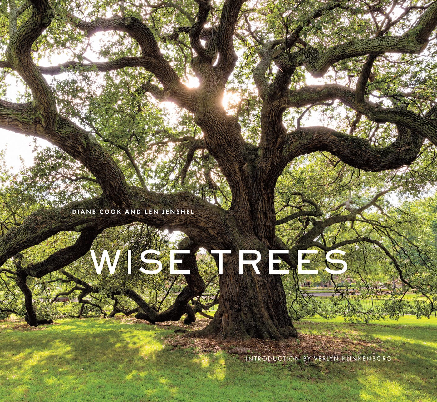 Cover of <em>Wise Trees</em> (courtesy Abrams)