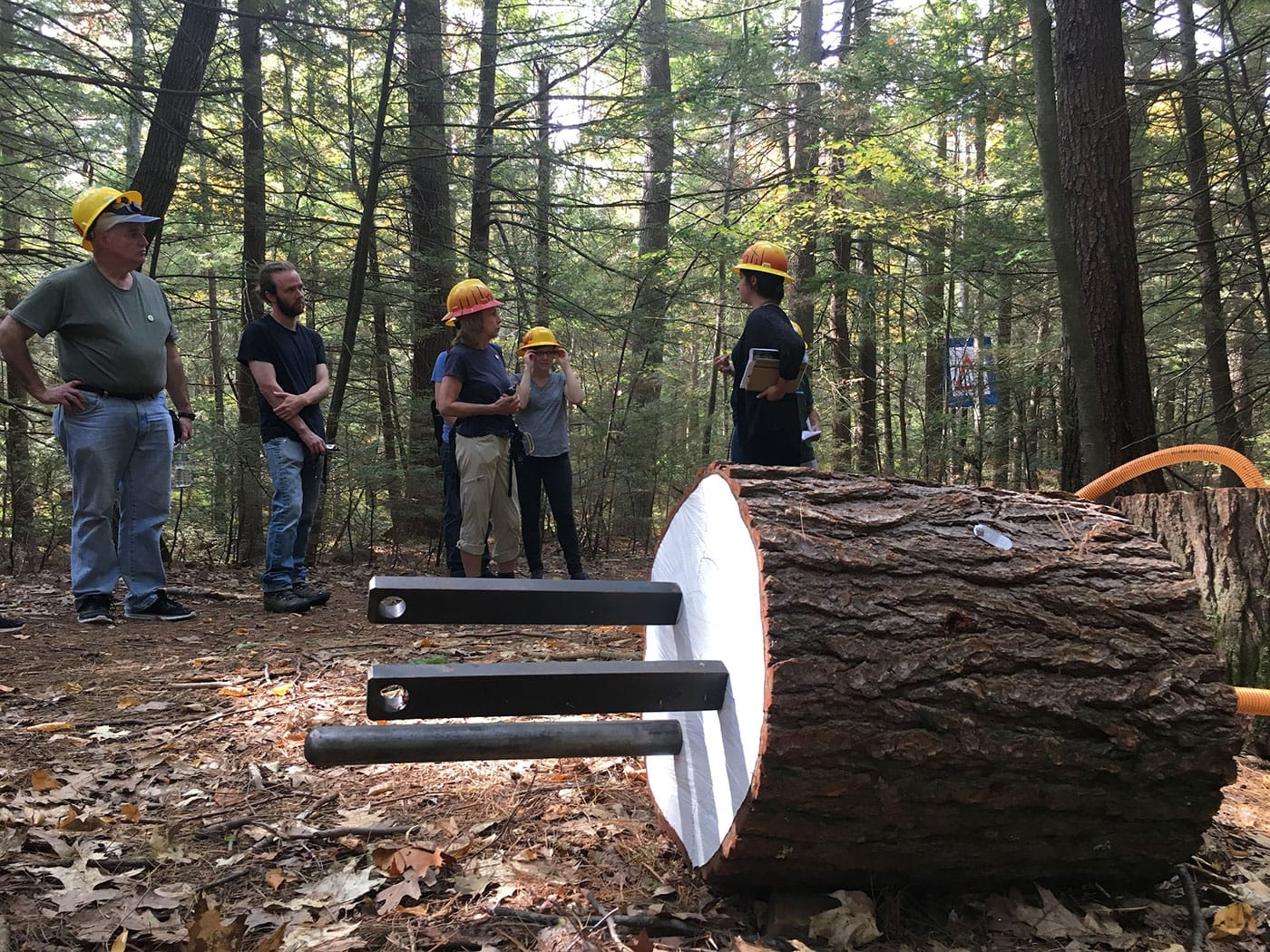 A tour of <em>Hemlock Hospice</em> led by proctor Jill Fusco, with "Bio Resource Plug" (2017), installation at Harvard Forest (courtesy Harvard Forest Archives, Harvard University, photo by Neil Pederson)