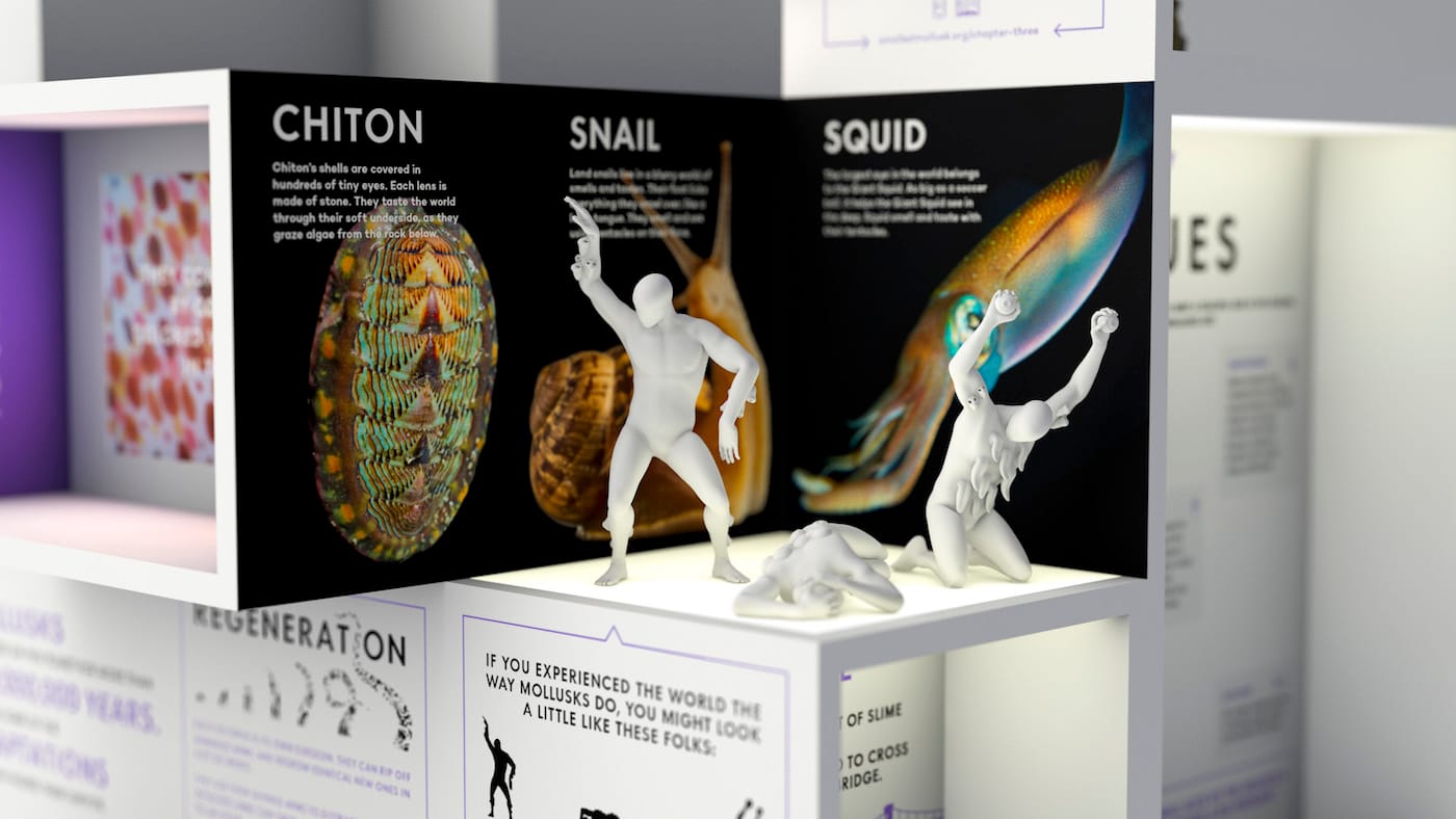 MICRO's Smallest Mollusk Museum (courtesy MICRO)