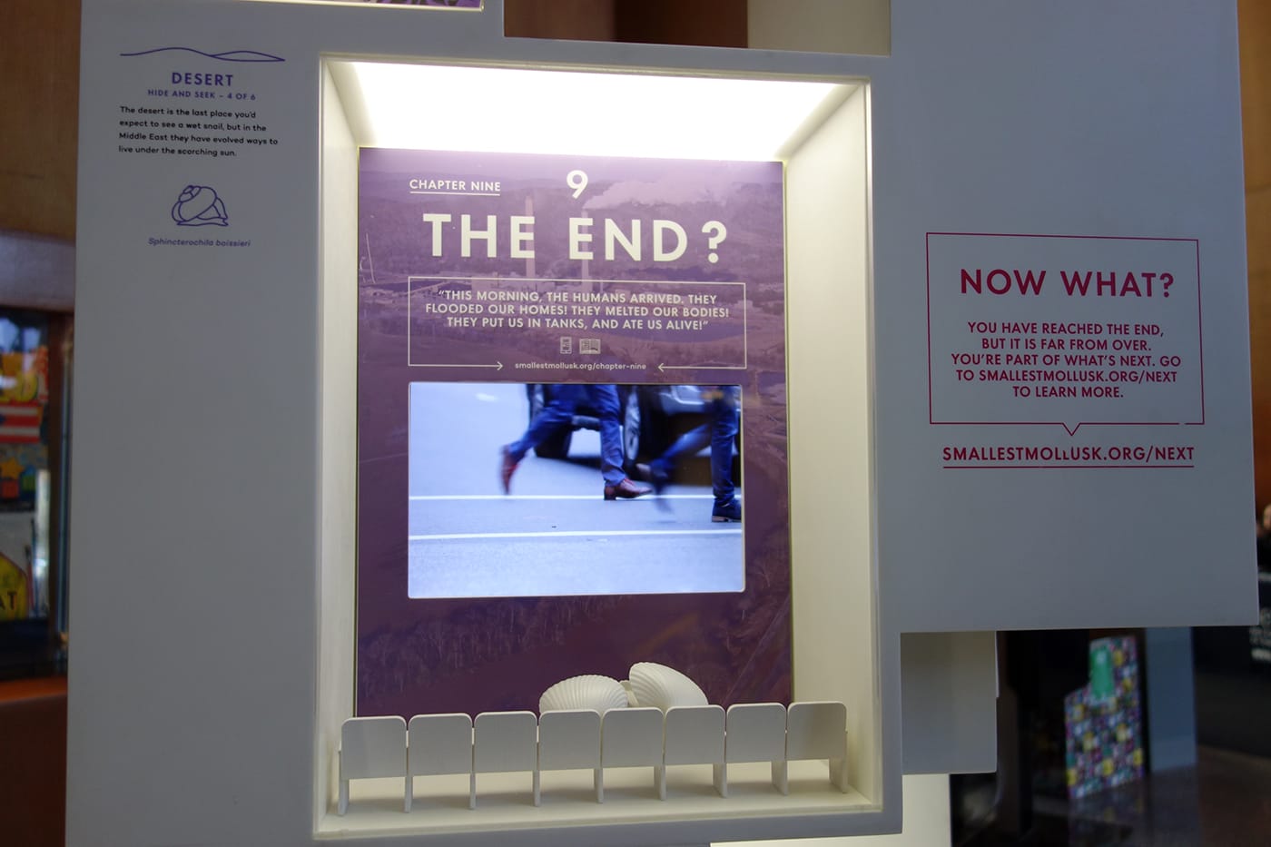 MICRO's Smallest Mollusk Museum at the Brooklyn Public Library (photo by the author for Hyperallergic)