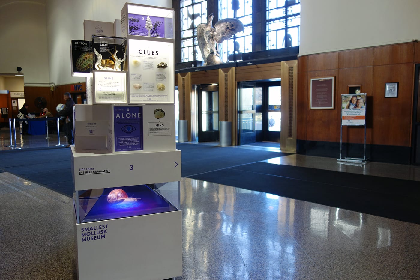 MICRO's Smallest Mollusk Museum at the Brooklyn Public Library (photo by the author for Hyperallergic)