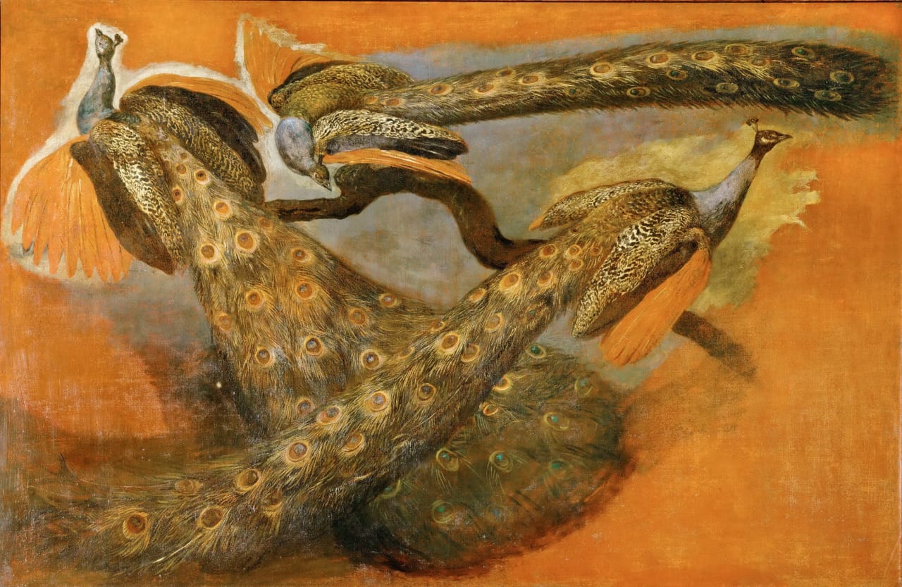 Pieter Boel, "Study of Three Peacocks" (1669-71), oil on canvas (via Louvre/Wikimedia)