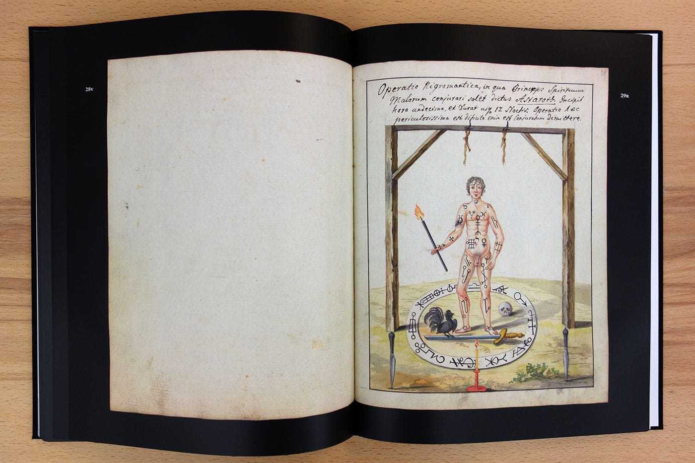 Pages from Touch Me Not (photo of the book for Hyperallergic)