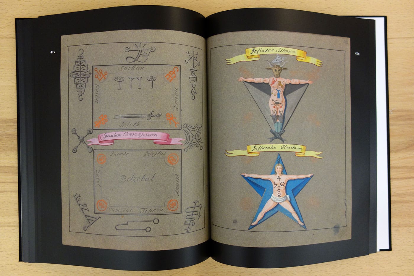 Pages from Touch Me Not (photo of the book for Hyperallergic)