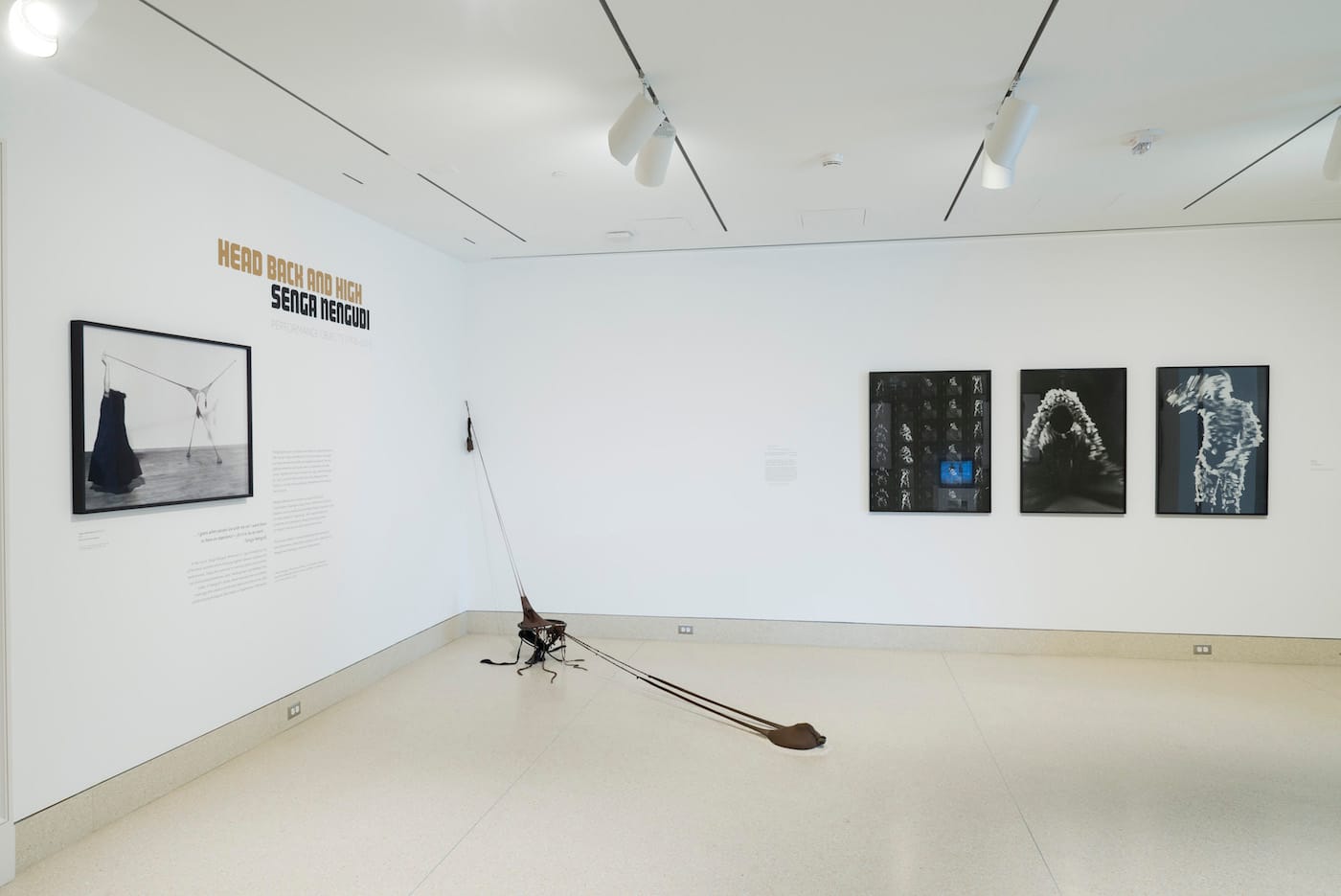 Head Back & High: Senga Nengudi, Performance Objects (1976-2015) installation at the Baltimore Museum of Art (photo by Mitro Hood, courtesy the Baltimore Museum of Art)