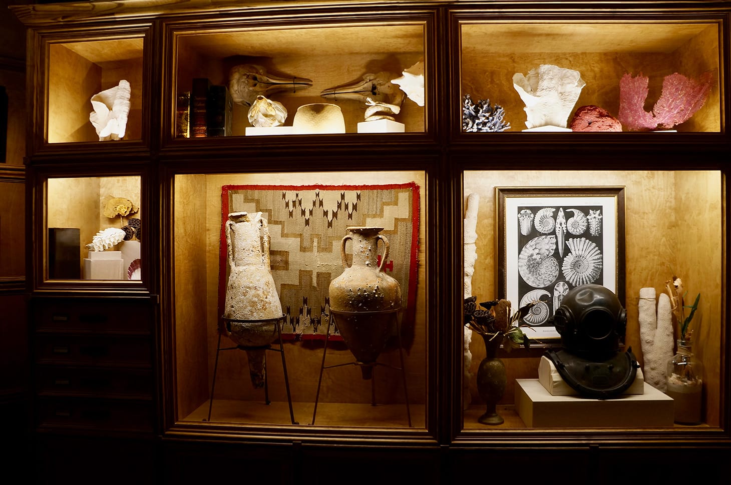 <em/>Cabinet of Curiosities