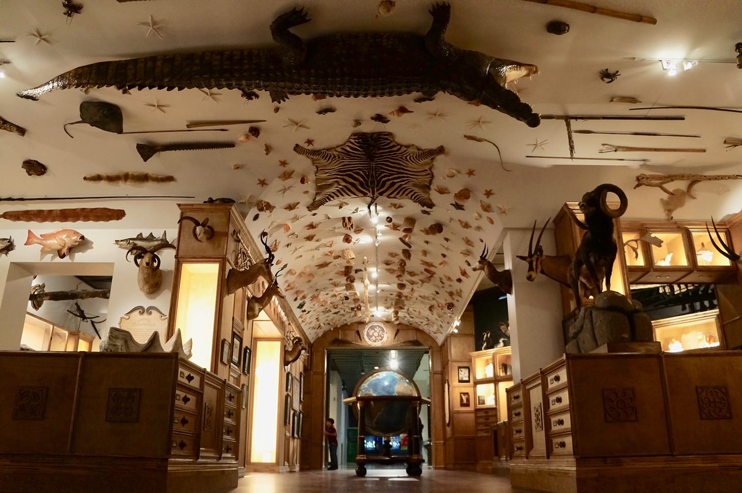 <em/>Cabinet of Curiosities (all photos by the author for Hyperallergic)