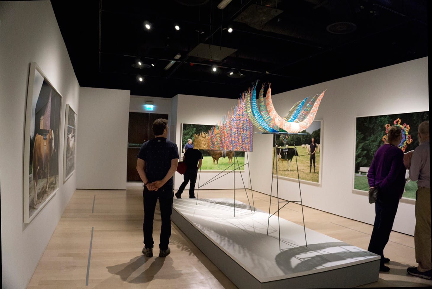 Maria McKinney, installation view of <em>Sire<em>at the Wellcome Center