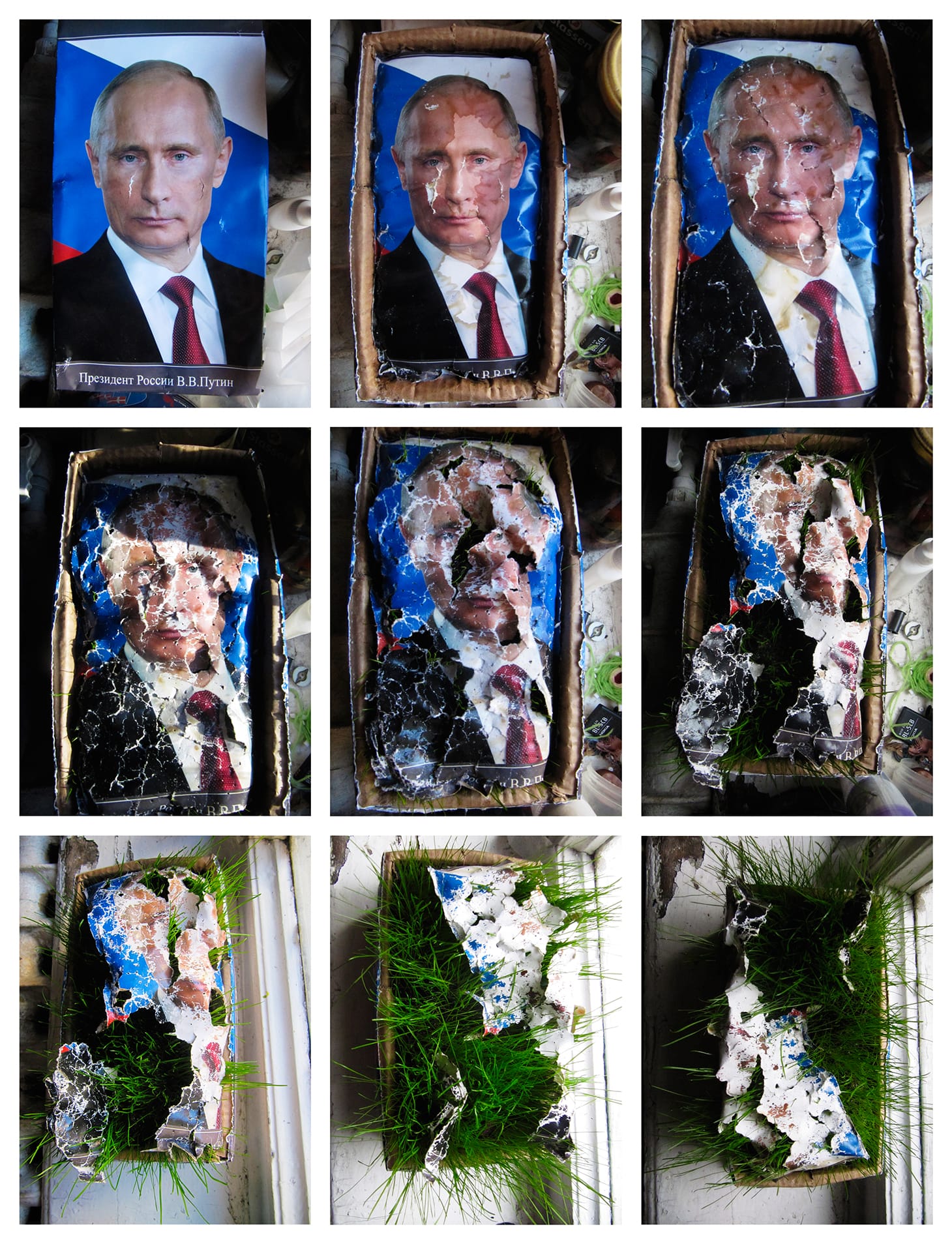 Rodina, "9 Stages in the Decomposition of the Leader" (2015), a print of nine time-lapse images showing an official portrait of the president over a seed box (image courtesy of Rodina)