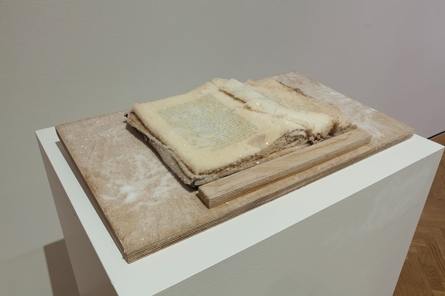 Essma Imady, "History Book" (2017), sea water, book (image courtesy of the artist; photo by Minneapolis Institute of Art)