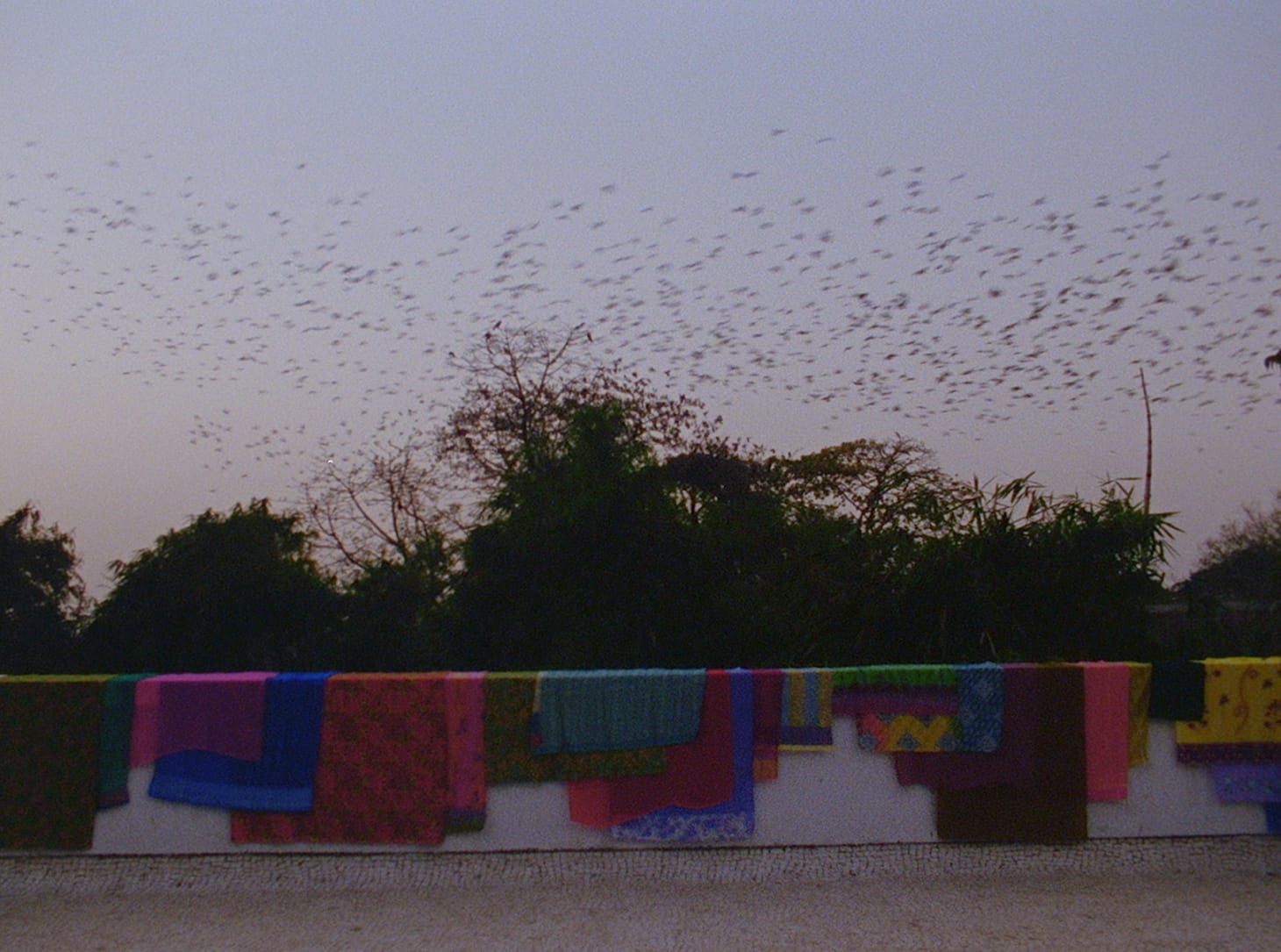 <em>The Grand Bizarre</em> (2018), (image credit Jodie Mack)