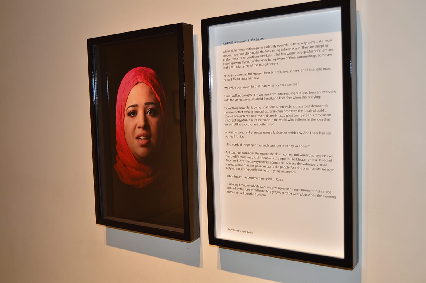 Judith Barry, "Nadine"