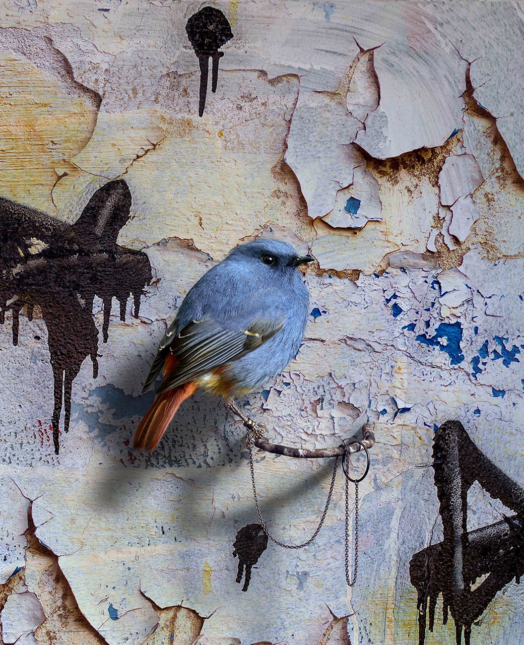 Mat Collishaw, "Gasconades (Lawofsuccess)" (2018) (courtesy of Paul Stolper Gallery)