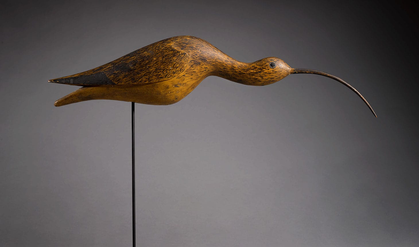 Long-Billed Curlew (1880–90), American School, 19th century, polychromed wood decoy with wax eye, height 4 3/4 inches by length 21 1/2 inches, Salem, Massachusetts area (image courtesy Sotheby's)