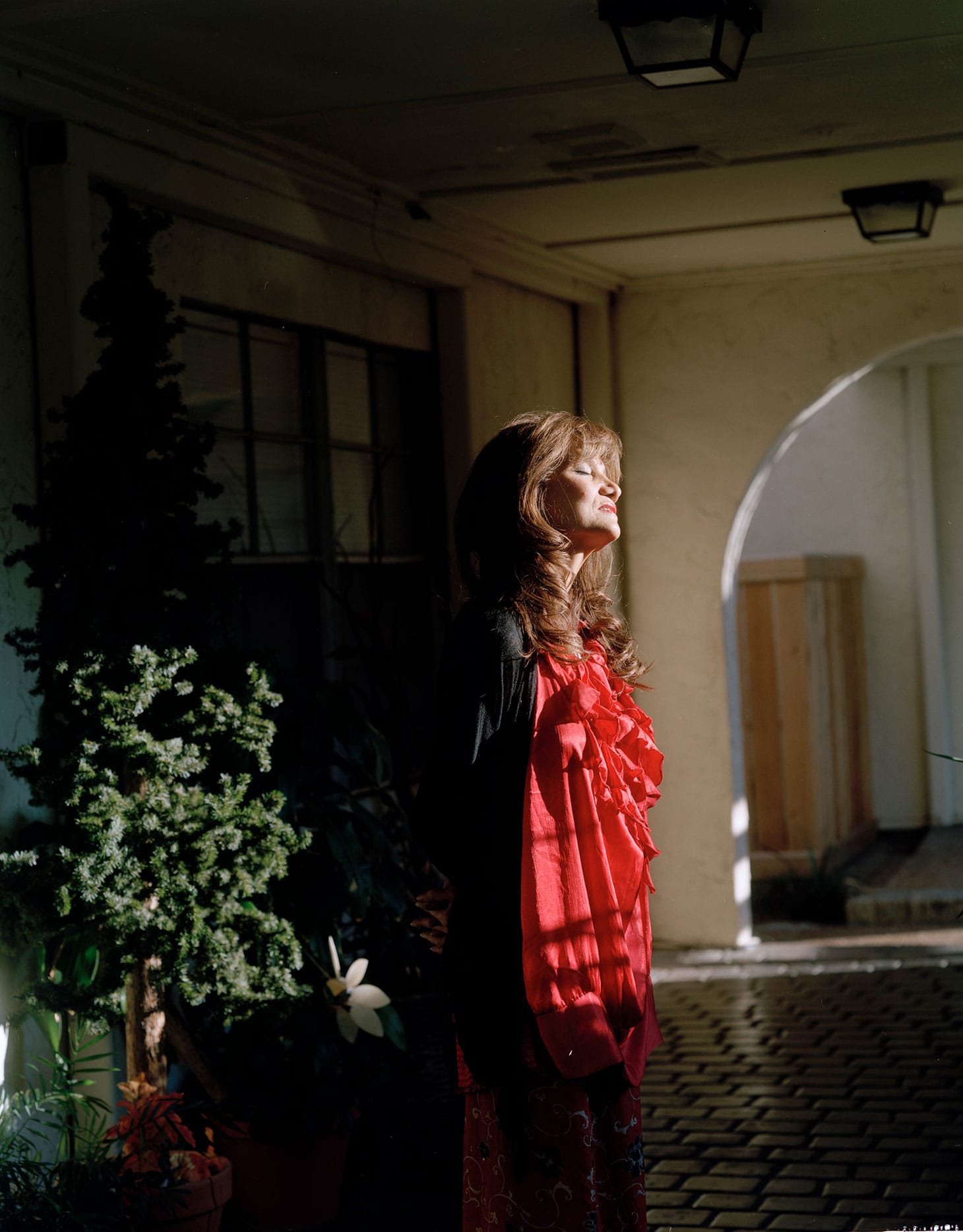 Carla Alexandra Rodriguez, "Oh, it's beautiful outside" (2014) (image courtesy Law Warschaw Gallery)