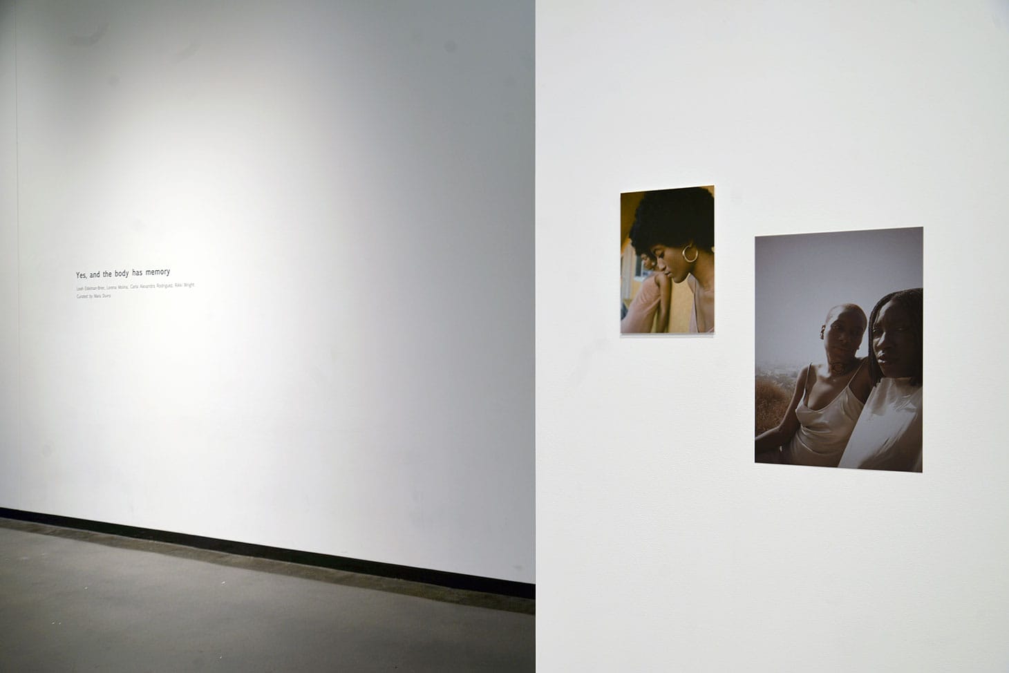 <em>Yes, and the body has a memory</em>, installation view (image courtesy Law Warschaw Gallery)
