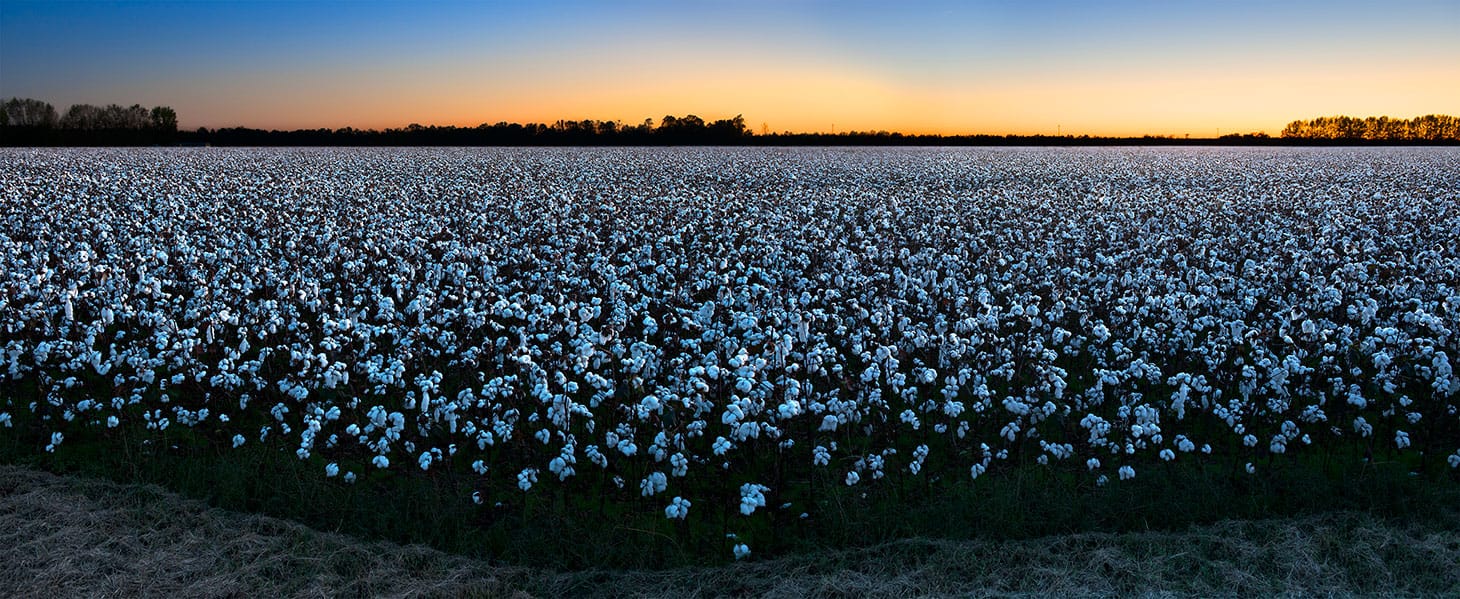 John E. Dowell, "Getting Ready" (image courtesy John E. Dowell)