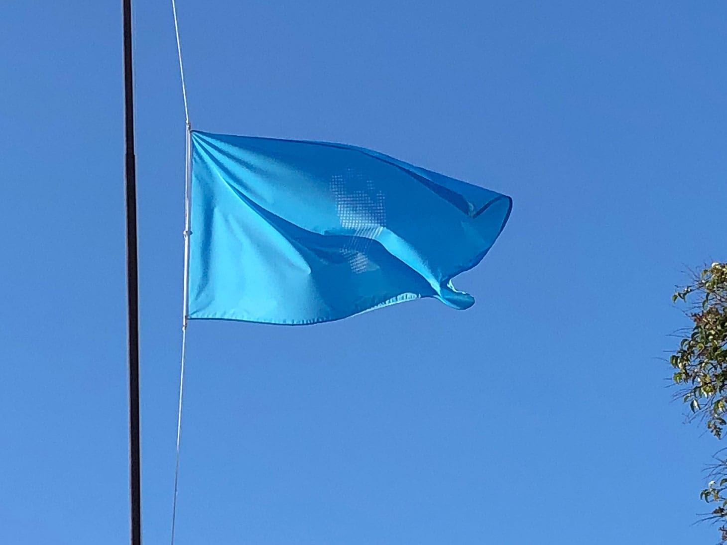 Ai Weiwei's flag