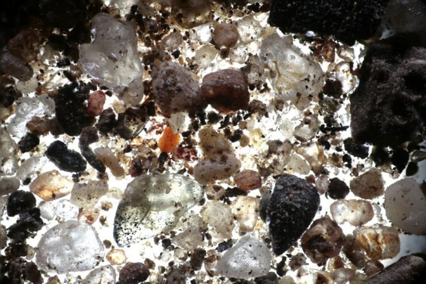 Gary Simpson’s mix of soils from 193 countries, magnified 125 times through an Edge 3-D microscope (photo by Dr. Gary Greenberg, courtesy Gary Simpson)