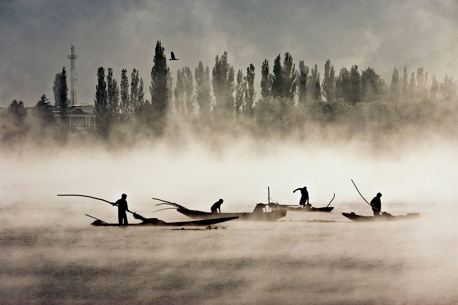 Shahidul Alam, "Dal Lake, Kashmir, India" (2008) (image courtesy ICP)