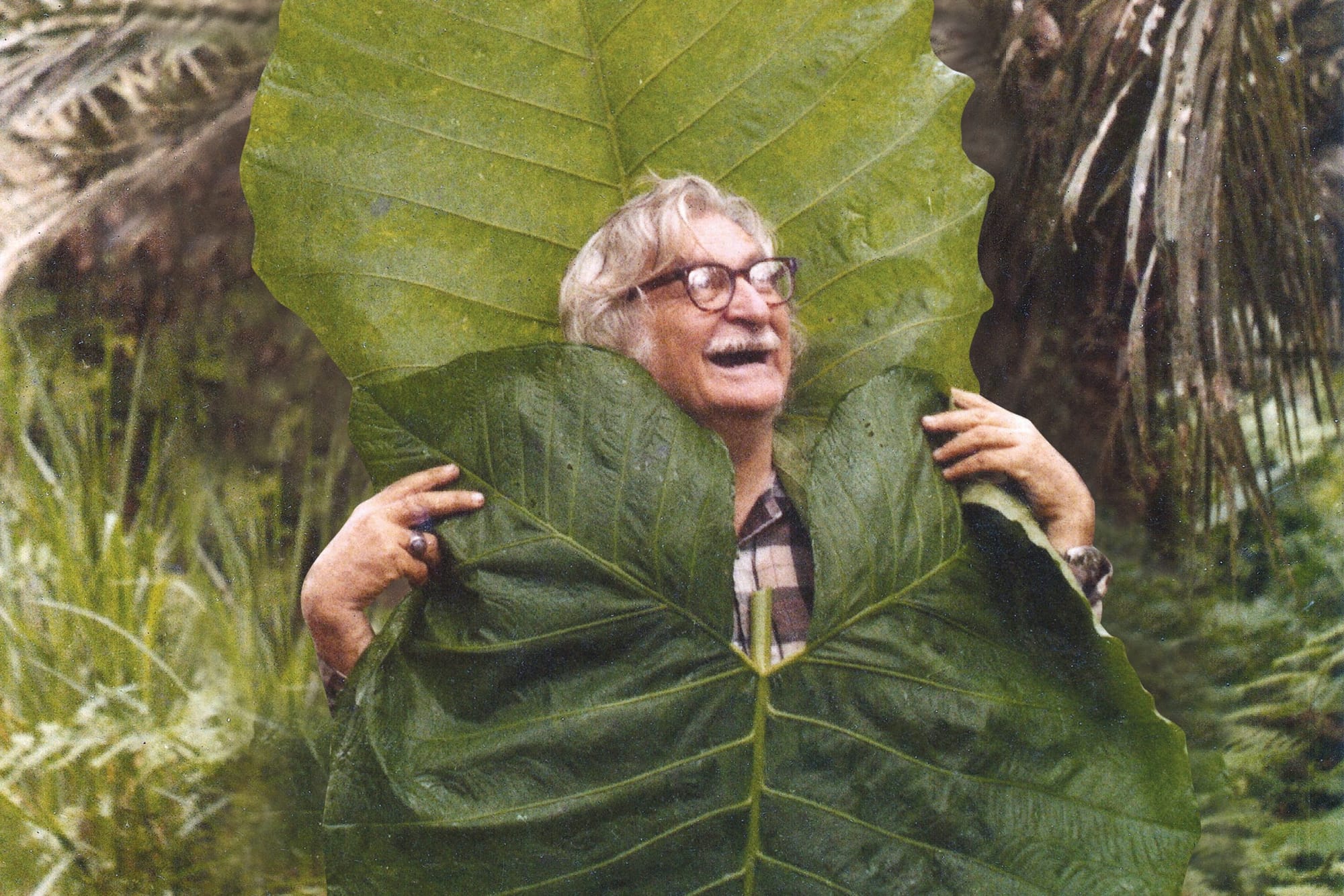 Now Open at New York Botanical Garden, Brazilian Modern: The Living Art of Roberto Burle Marx