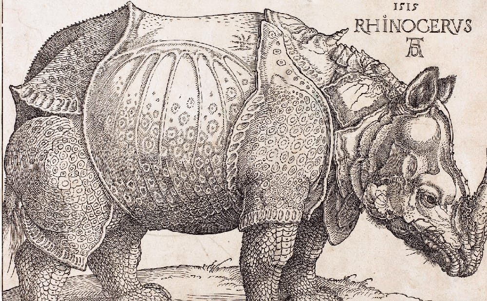 Assessing My Critical Adjustments and Changing Perspectives