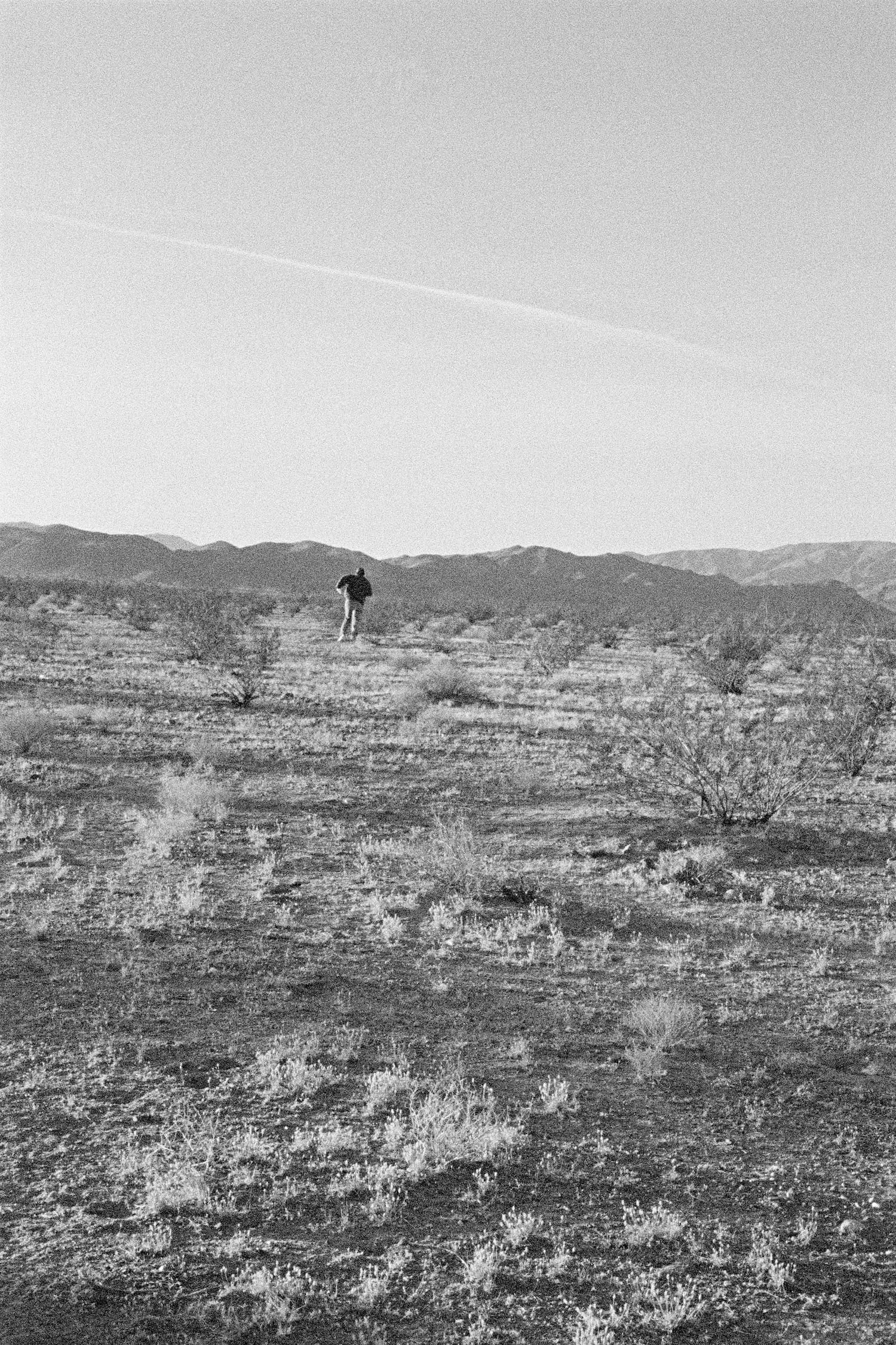 This image has an empty alt attribute; its file name is 4-Divola-1200x1800.jpg