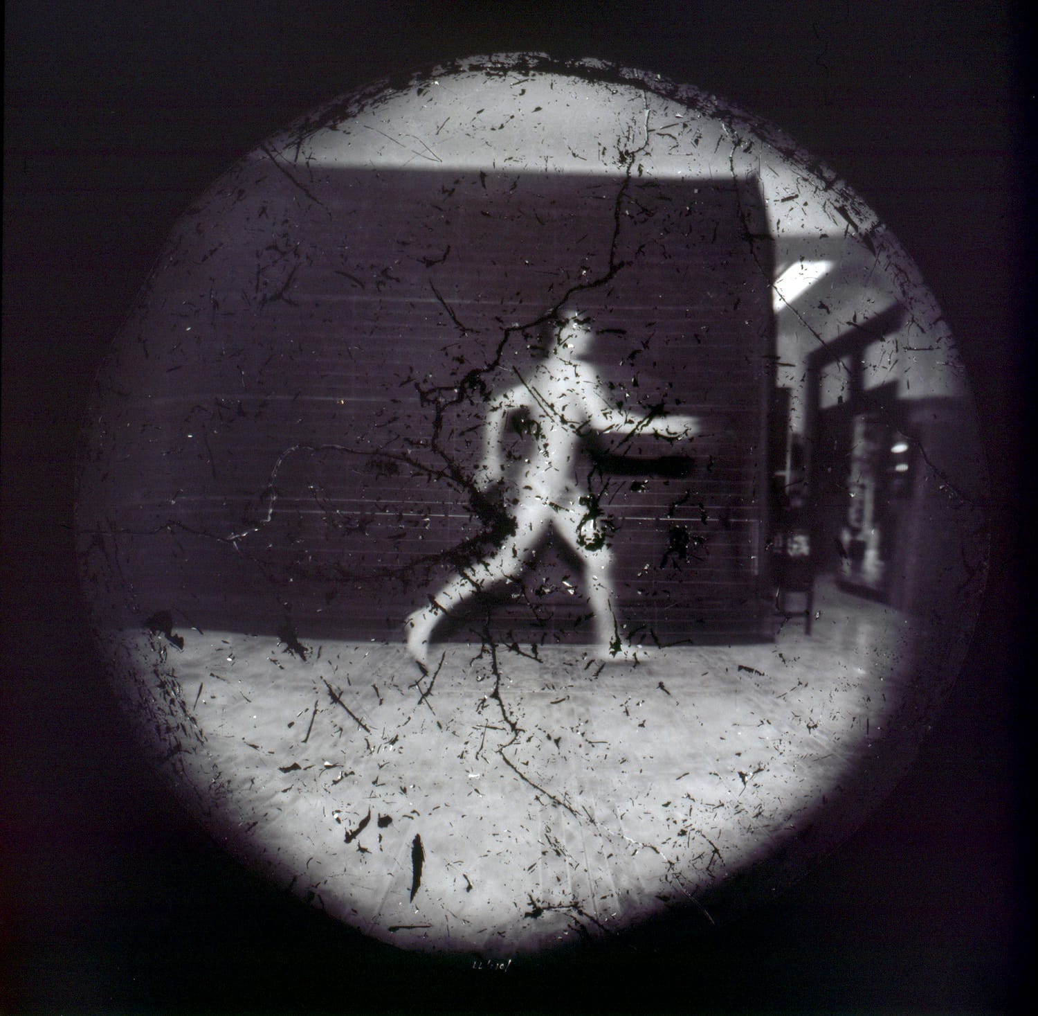 This image has an empty alt attribute; its file name is 8-Pippin-1200x1174.jpg