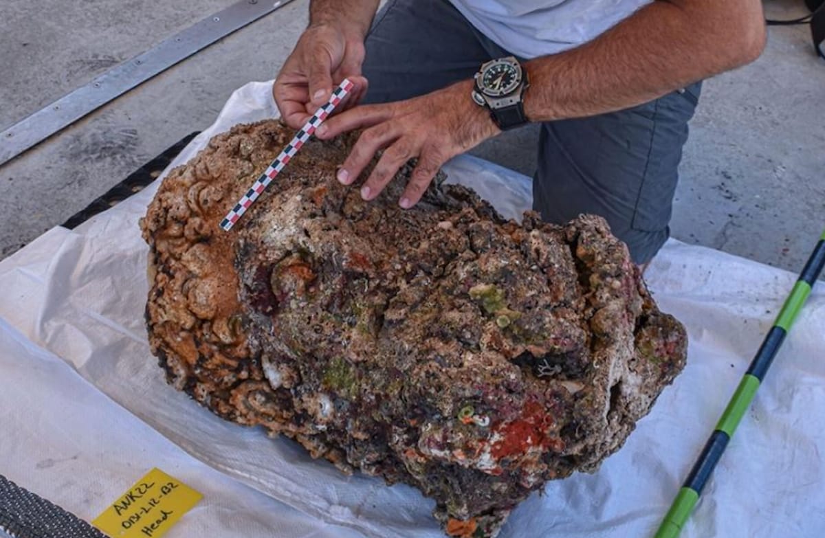 Massive Head of Hercules Pulled From Historic Shipwreck