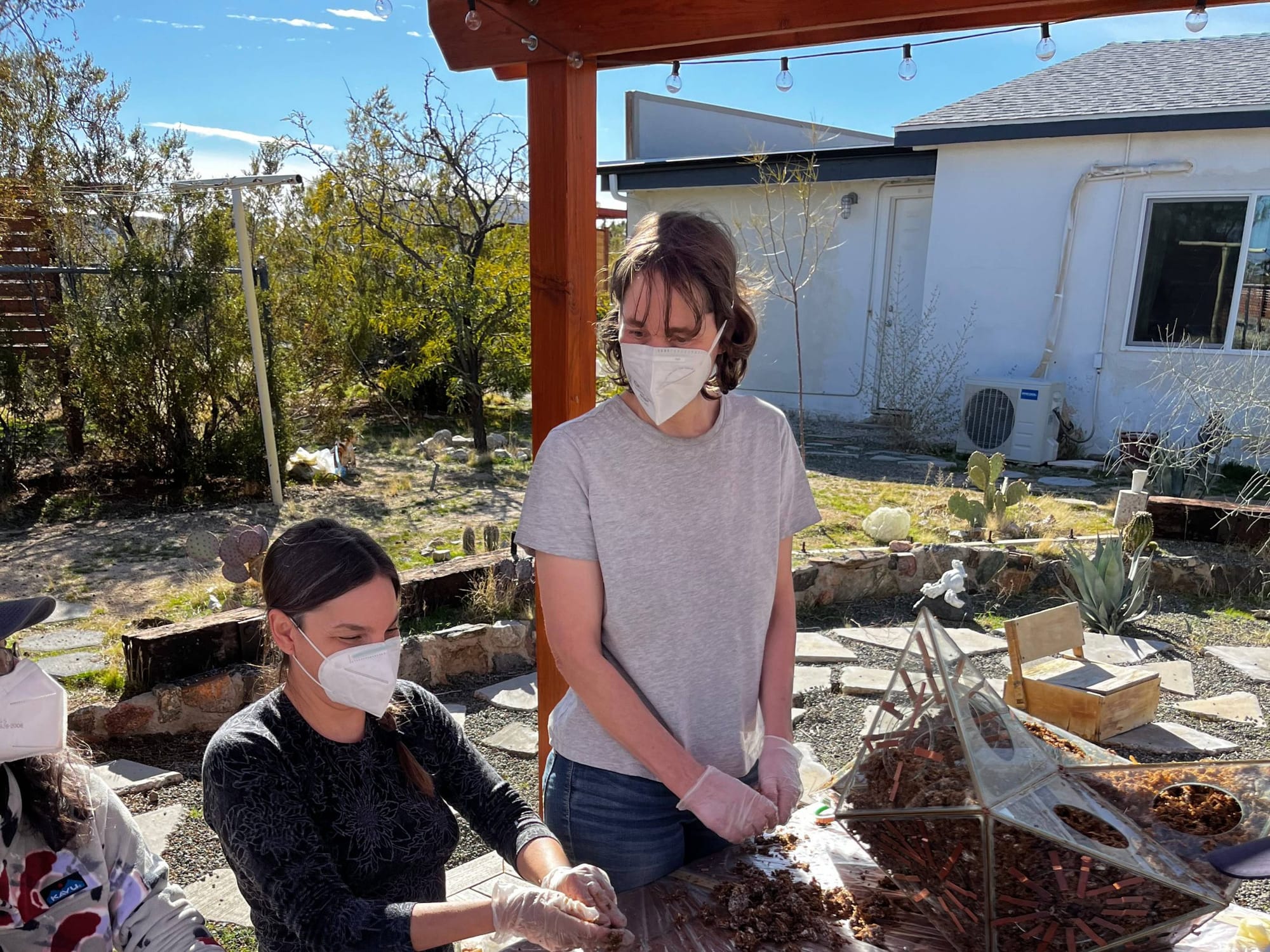 The Artist Using Mushrooms to Address LA’s Poor Air Quality