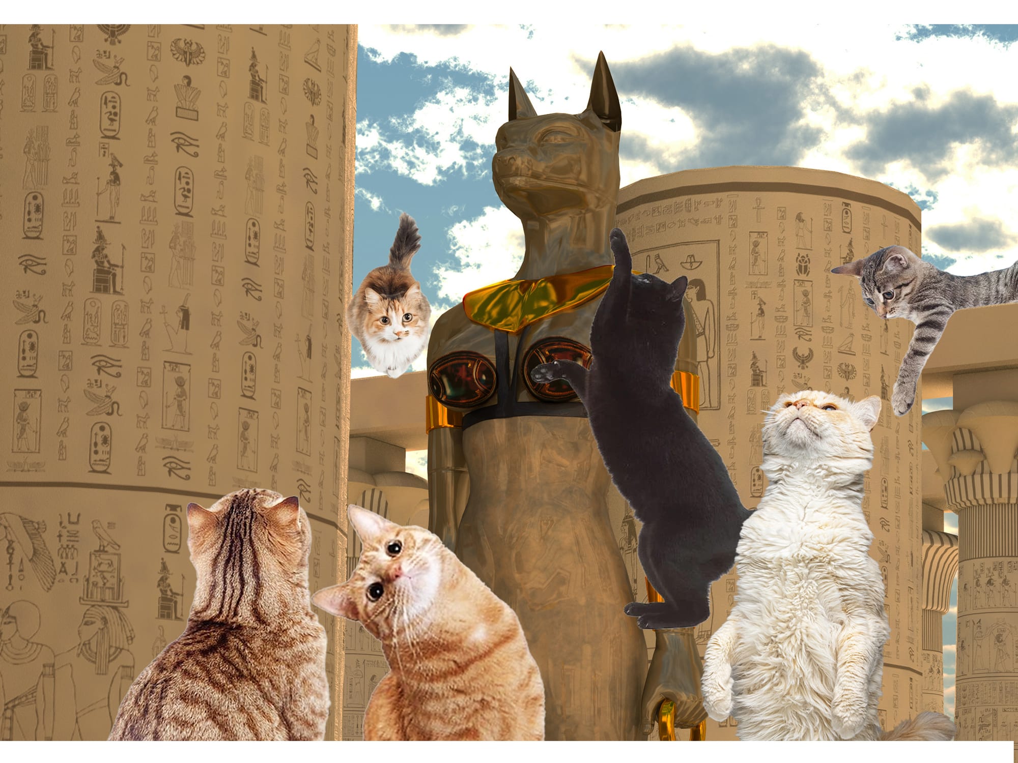 Shanghai Museum Welcomes Cats for Egyptian Antiquities Show
