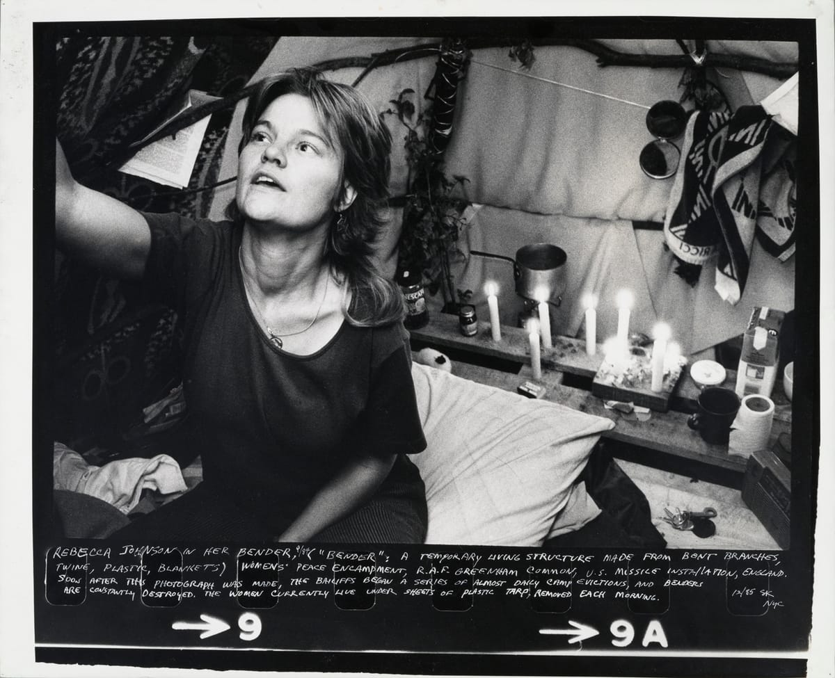 Raw Material: The Art and Life of Susan Kleckner