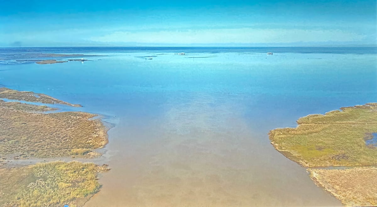 Deborah Jack’s Immersive Elegy for Water