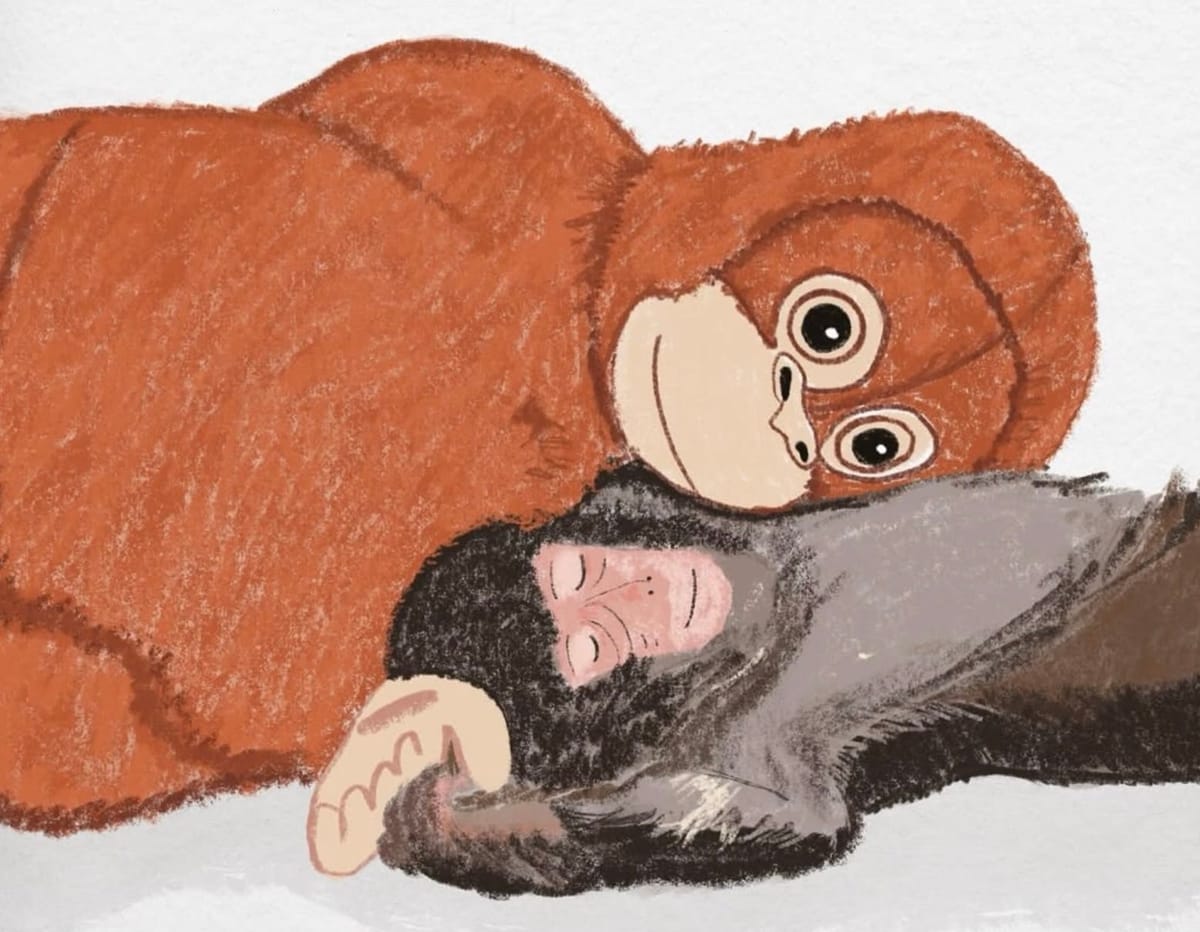 How Punch the Monkey Captured the Hearts of Artists