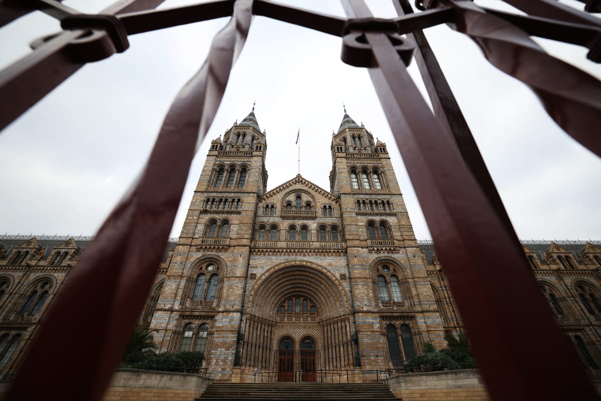 UK Museums Hold Over 260,000 Human Remains, Report Finds