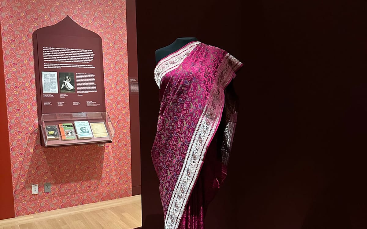 The Sartorial Is Political in "The New York Sari"
