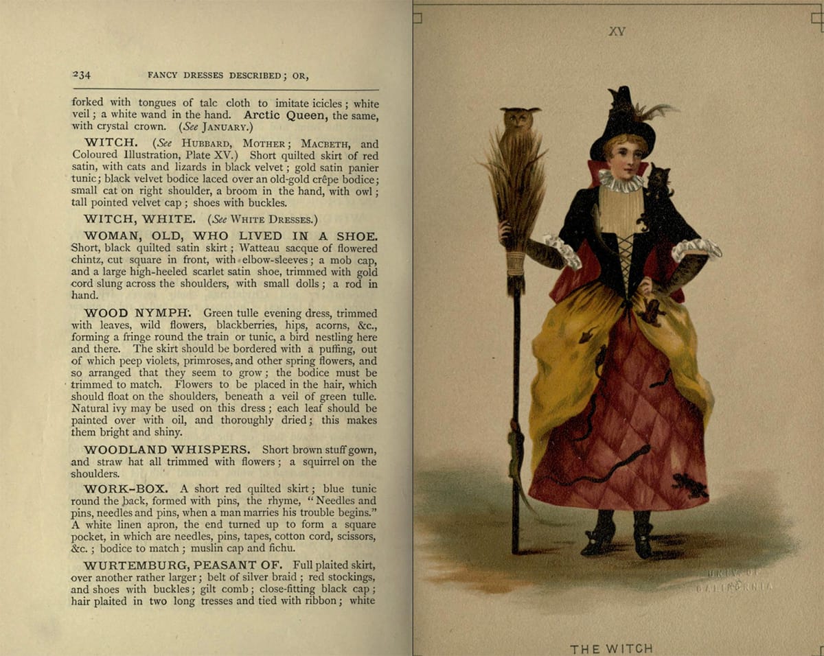 Costume for "the Witch" from Fancy dresses described : or, What to wear at fancy balls (1887) (via Internet Archive)