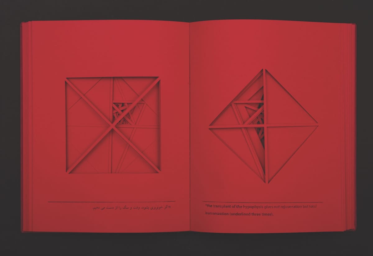 Books to See and Feel