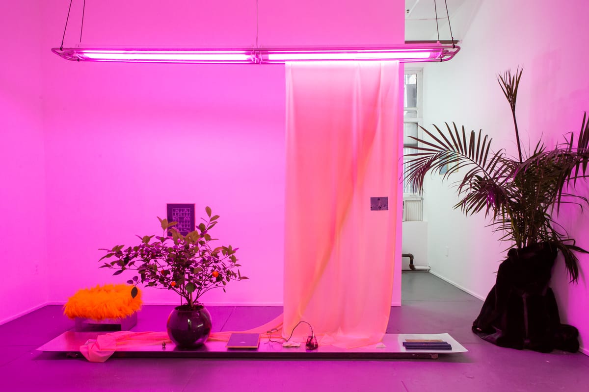 Levan Mindiashvili's Childhood Memories