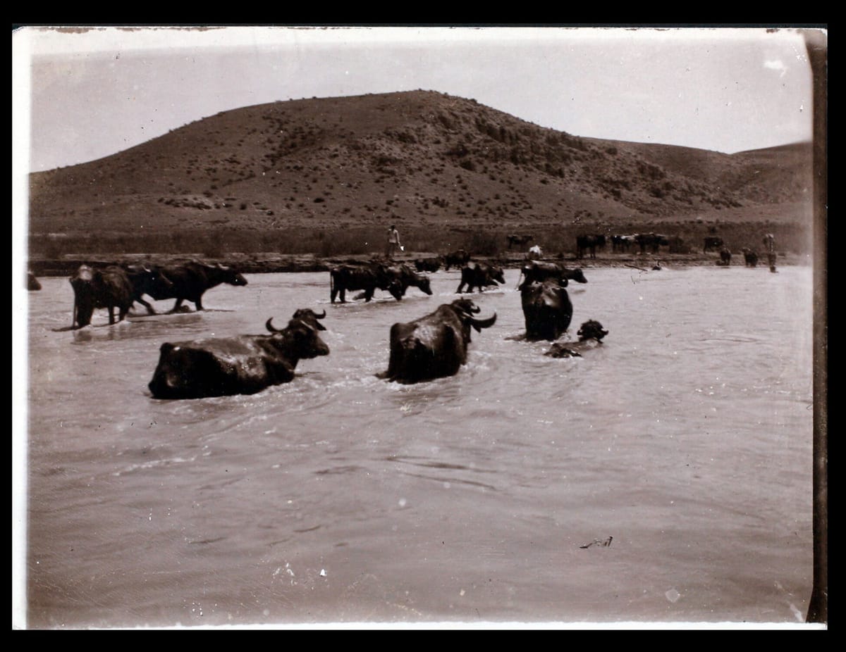 SALT Presents Climavore: Seasons Made to Drift by Cooking Sections