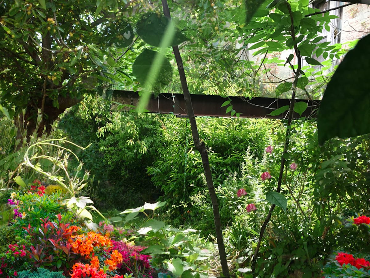A Plant Concert Blooms in an Abandoned Building