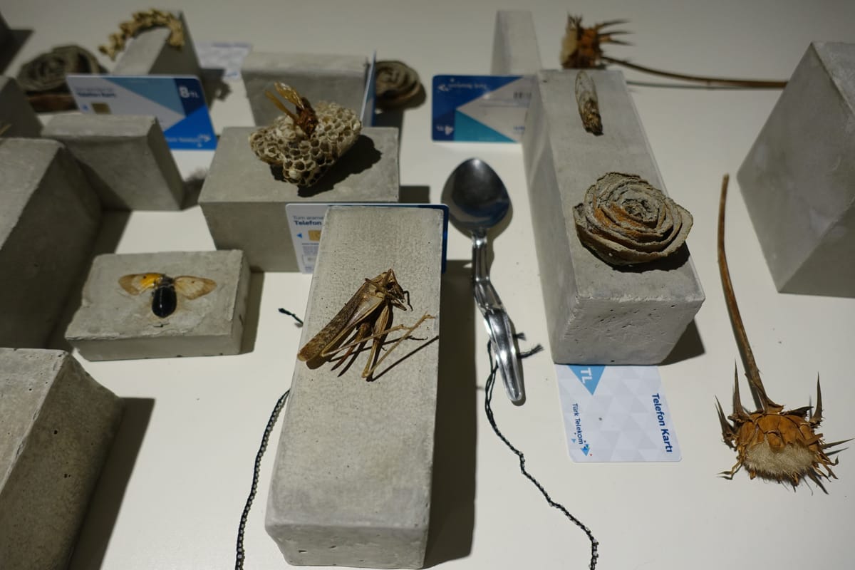 A Kurdish Artist’s Creative Resistance From Behind Bars