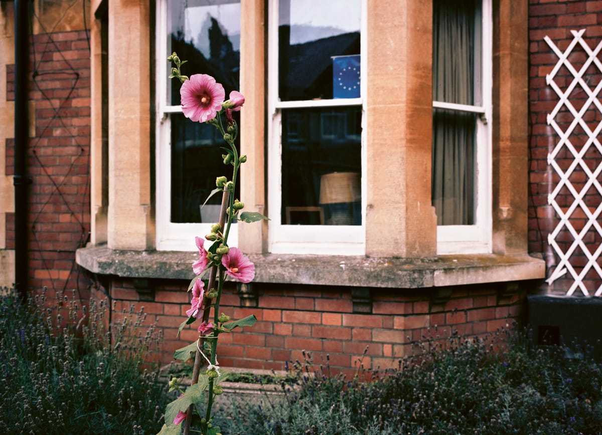 A View of Oxford That Evades Its “Ethos of ‘Intellectualism’”