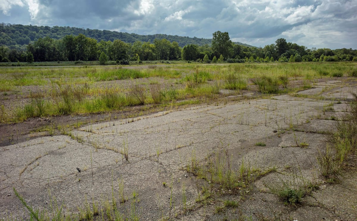 ArtYard’s Living Exhibition Unfolds in Real Time in New Jersey