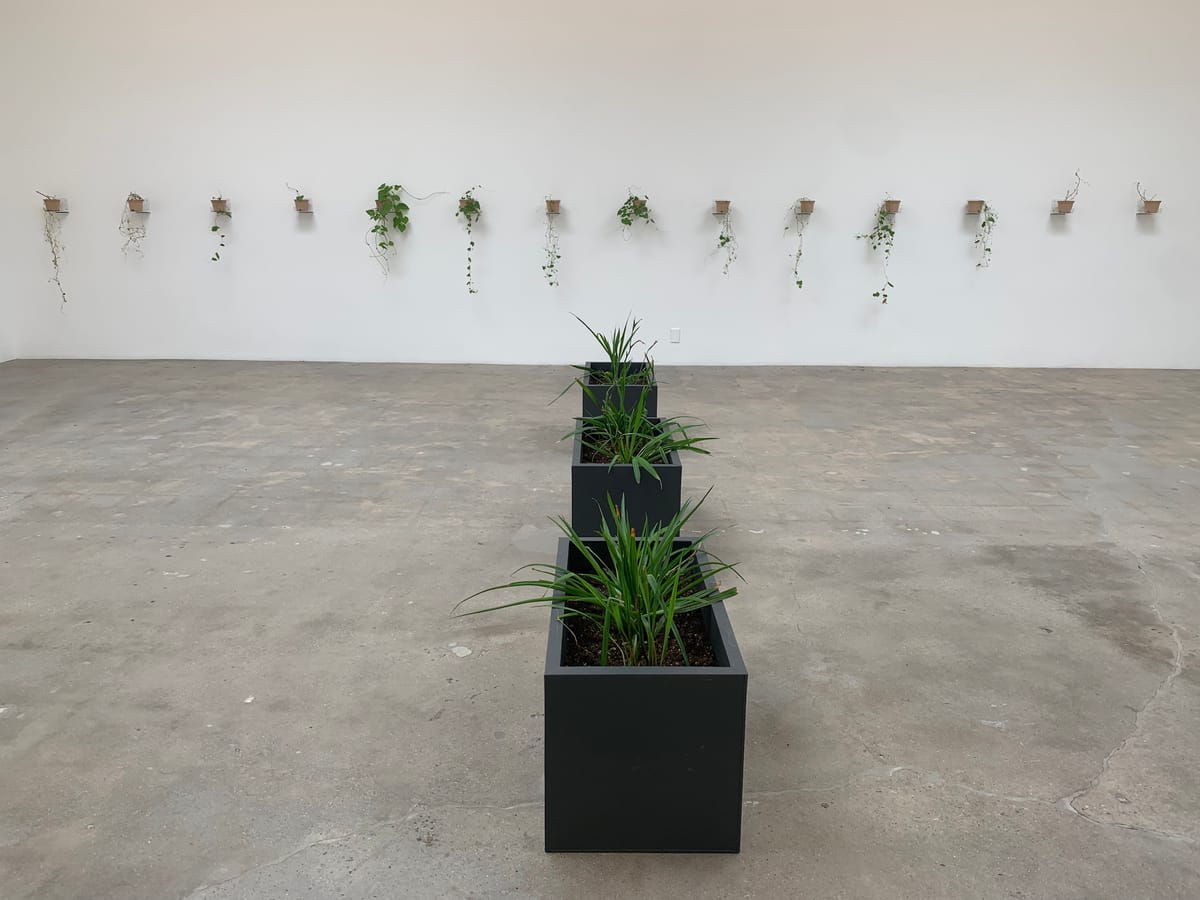 What Does It Mean to Exhibit Nature?