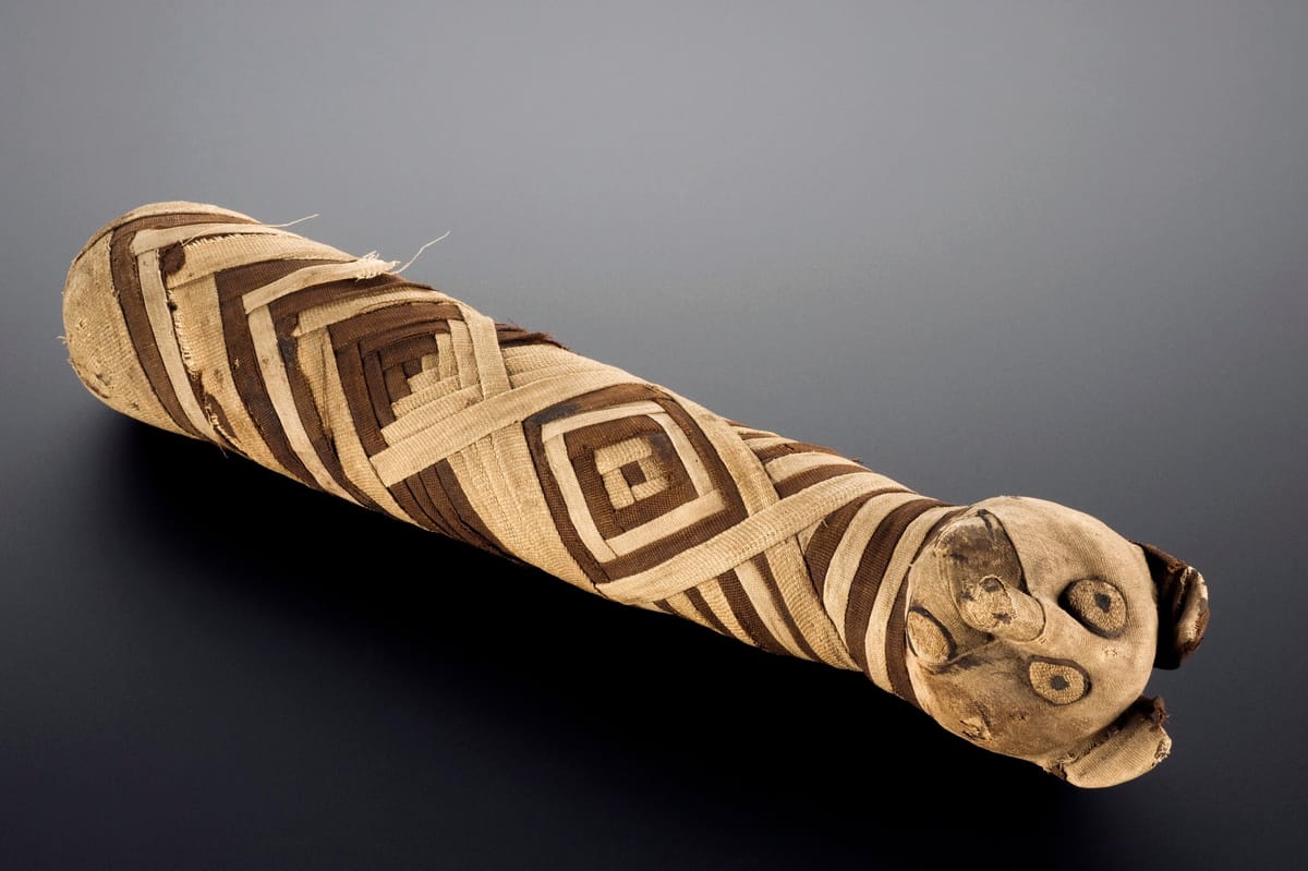 Can Mummified Cats Help Unravel the Mysteries of Ancient Dyes?