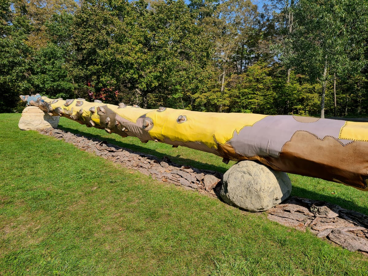 Mourning a Tree That Has Lain Down