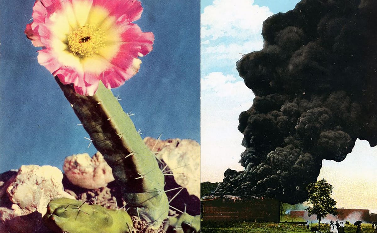 The Guggenheim and The World Around Present an Online Program Focused on Land