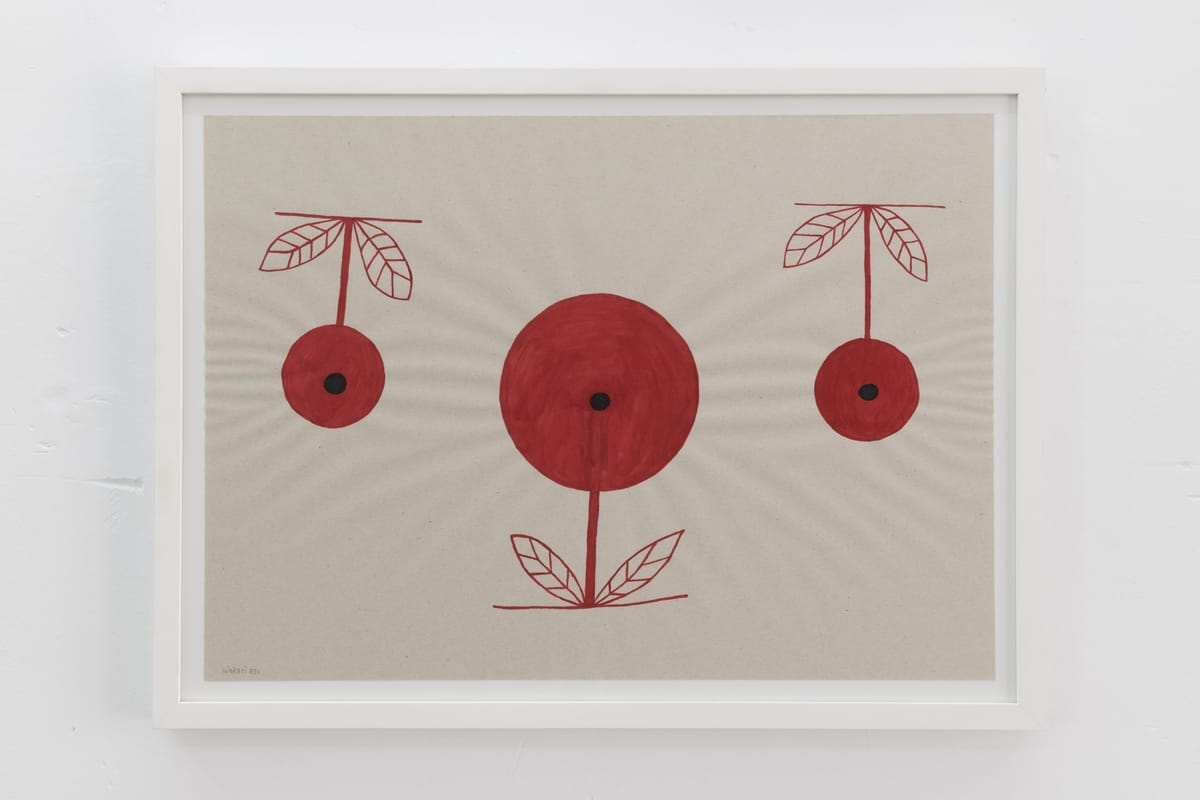 Drawing the Intricate Environment of an Indigenous Venezuelan Community