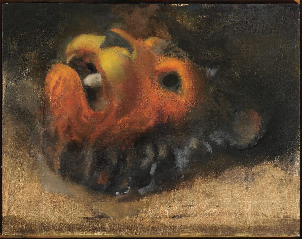 Lennart Anderson’s Blindness and Vision